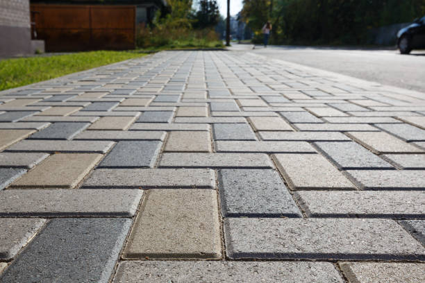 Best Driveway Paving Contractor  in Seneca, SC