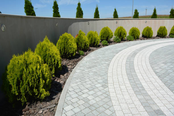 Best Driveway Paving Company  in Seneca, SC